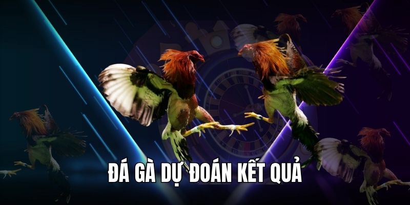 Đá gà dự đoán kết quả