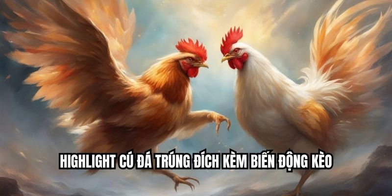 Highlight cú đá trúng đích kèm biến động kèo